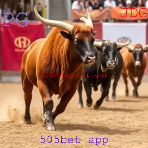 Rinha de galos